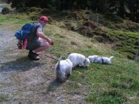 Klik op de foto voor groter formaat